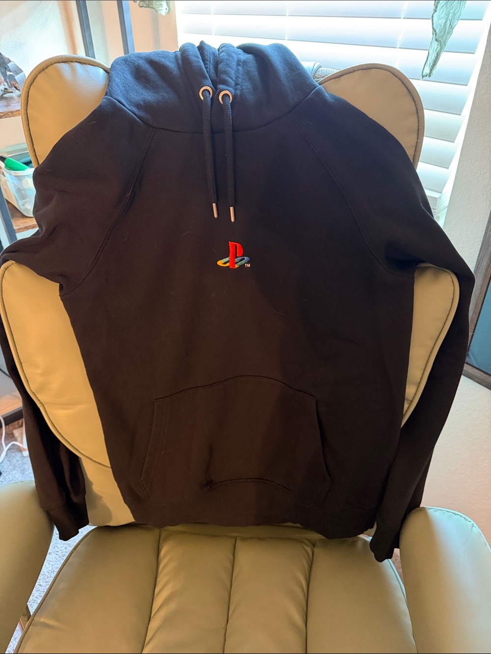 Sony Black Hoodie with Colorful PlayStation Logo
